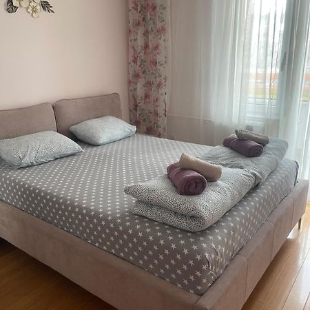 Apartment Elefant 021 Novi Sad Eksteriør bilde