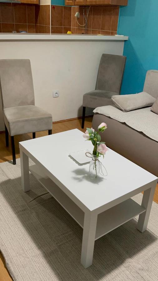 Apartment Elefant 021 Novi Sad Eksteriør bilde